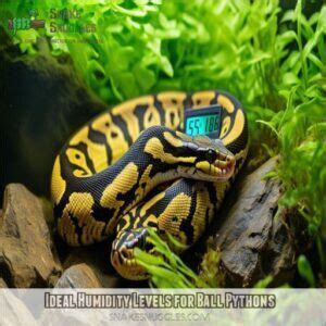 Image result for Ball Python Humidity Chart