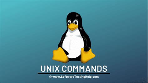 Types of Unix Commands に対する画像結果