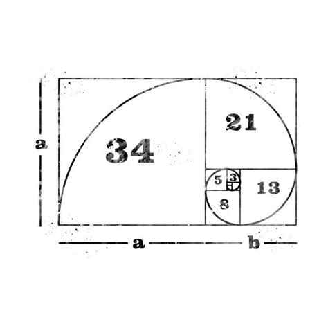 Image result for Fibonacci Crochet Pattern