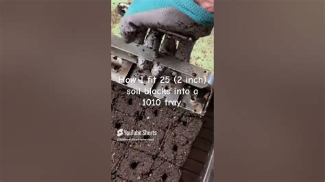 Image result for Seed Starting Time Meme