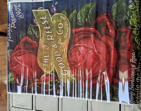 Image result for Decor Transfer