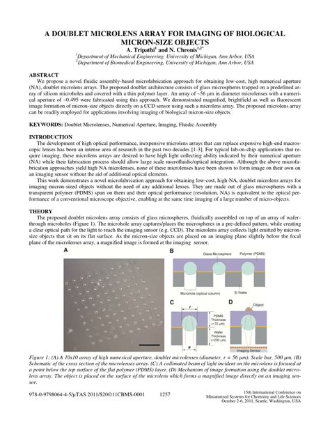 Double Face Microlens Array に対する画像結果