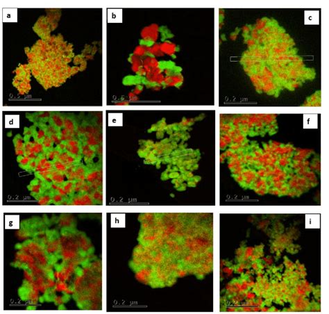 Afbeeldingsresultaten voor Core-Shell Material