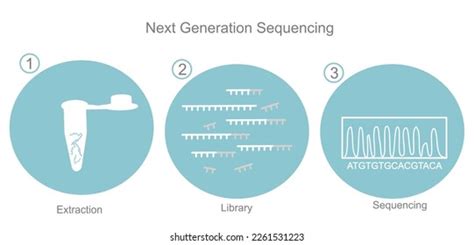 Next Generation Sequencing Library Preparation に対する画像結果