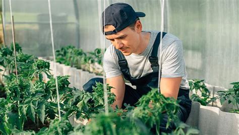 Did Software Test Description Example に対する画像結果