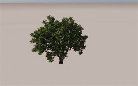 Tree Revit Enscape に対する画像結果
