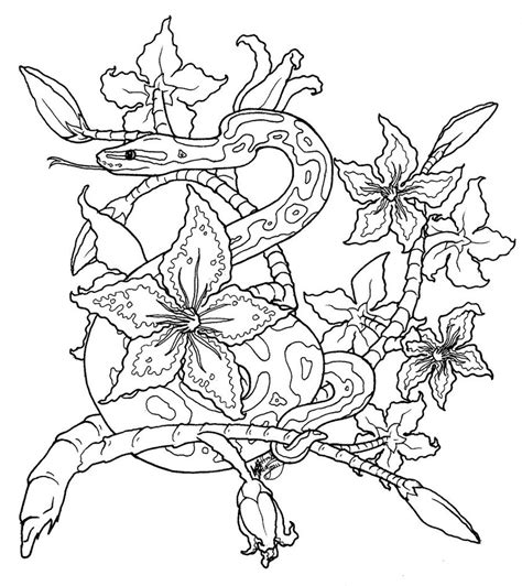 Image result for Ball Python in a Moon Shape Drawing