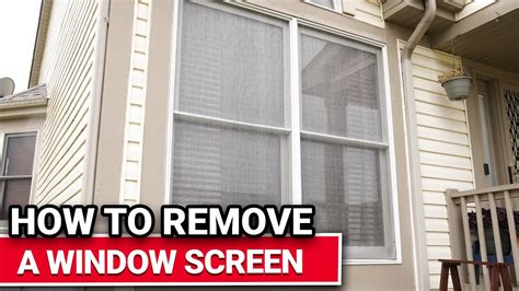 Window World Screen Removal に対する画像結果