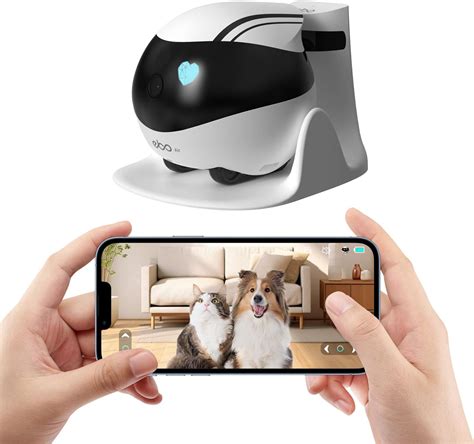 Amazon.com: Rocon Ebo AIR Pet Robot Camera, 2 Way Talk, Night Vision ...
