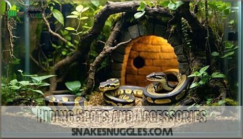 Pet Python Tank に対する画像結果