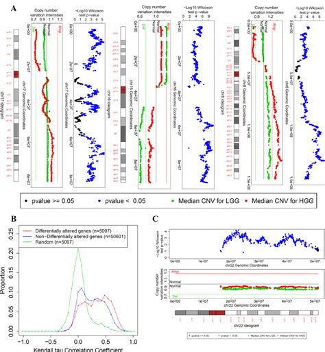 Image result for Copy Number Variation in Cancer Example