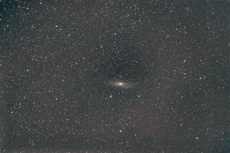 Image result for What Type of Galaxy Is Andromeda