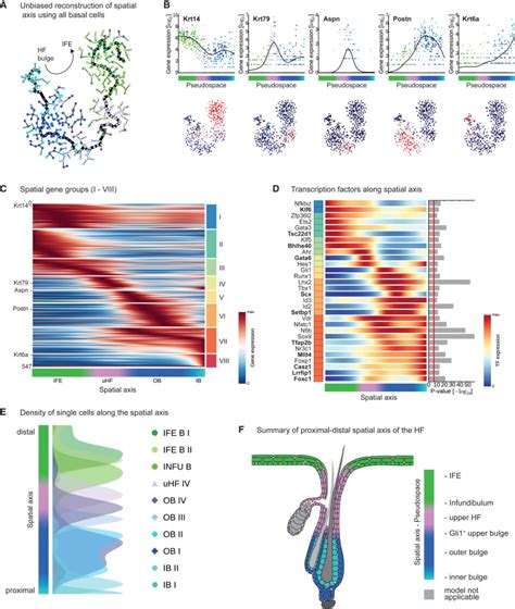 Transcriptomics Signature-साठीचा प्रतिमा निकाल