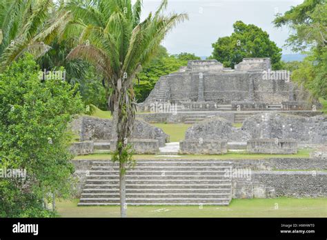 Ancient Mayan Ruins in Belize に対する画像結果