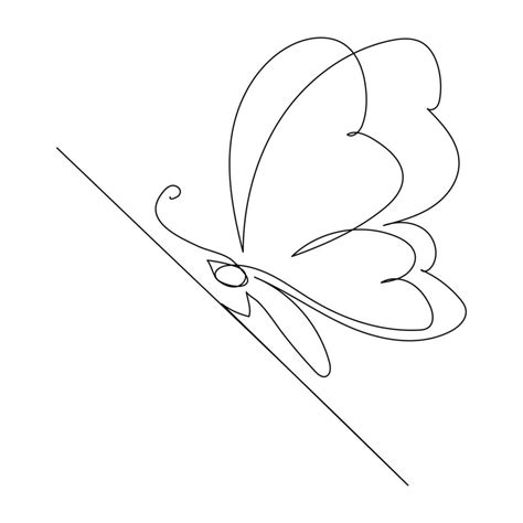 Image result for Single Line Butterfly Drawing