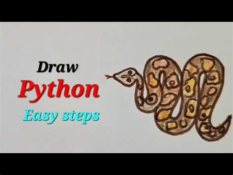 Image result for How to Draw a Python Haed