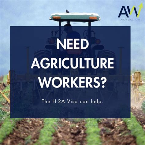 Image result for H2A Labor Program