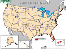 Burmese Python World Map Names に対する画像結果