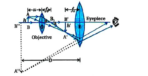 Image result for Angular Magnification of Compound Microscope
