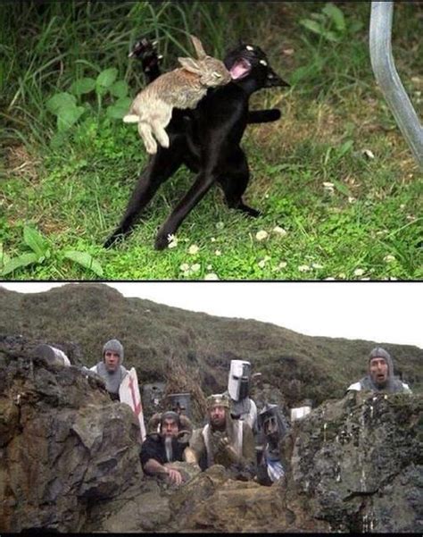 Image result for Monty Python Oppressed Meme