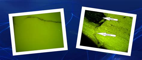 Image result for Polymer Mateial Testing