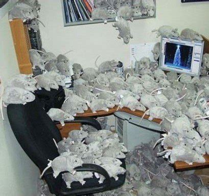 Cursed Computer Desk に対する画像結果