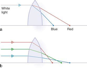 Image result for Light Scope Light Microscopy Software