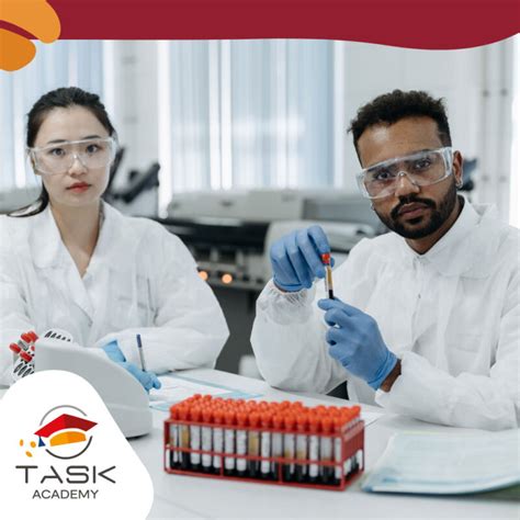 Toradh íomhá ar Task Research Brooklyn