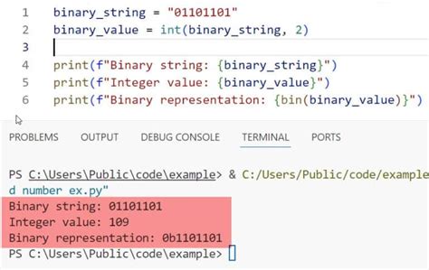 Image result for Binary Literal Python
