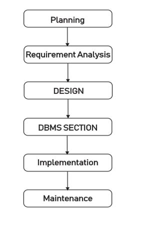 Database Development Planning에 대한 이미지 결과