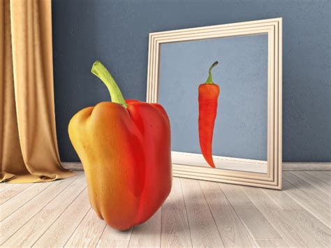 Image result for Perception Reality Logo