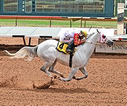 Image result for Streaks of Power