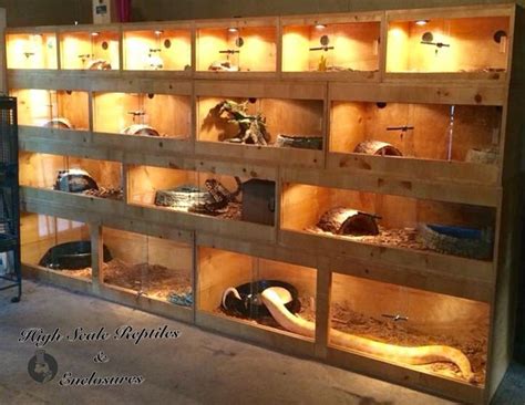 Image result for Custom Ball Python Enclosure
