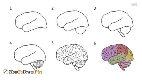 Image result for Brain Tutorial