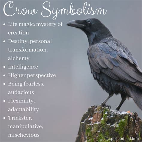 Crow Traits എന്നതിനുള്ള ഇമേജ് ഫലം