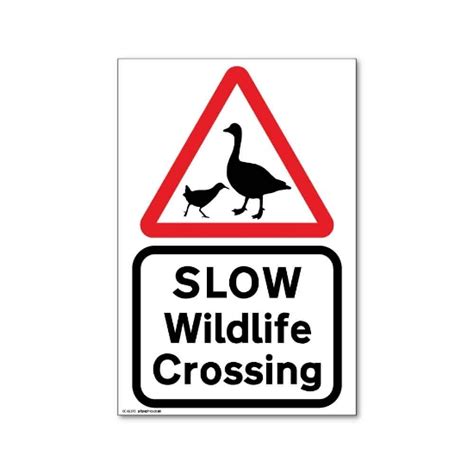 Image result for Slow Birds Crossing