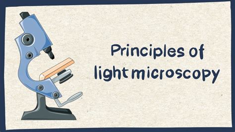 Image result for Light Microscope Protein