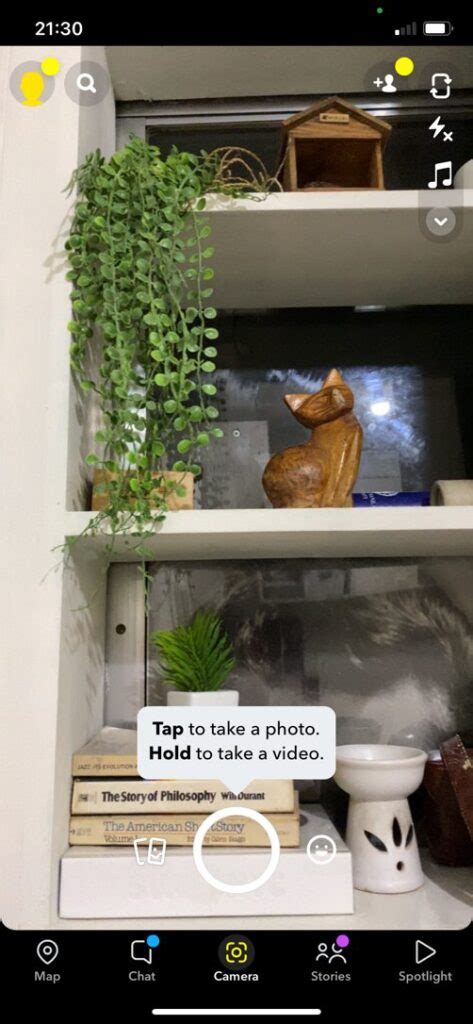 Image result for Snapchat Sticker for Slideshows