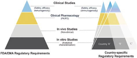 Afbeeldingsresultaten voor Biosimilar Development