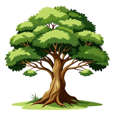 Afbeeldingsresultaten voor Realistic Tree Vector