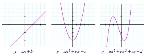 Image result for Linear Polynomial Function