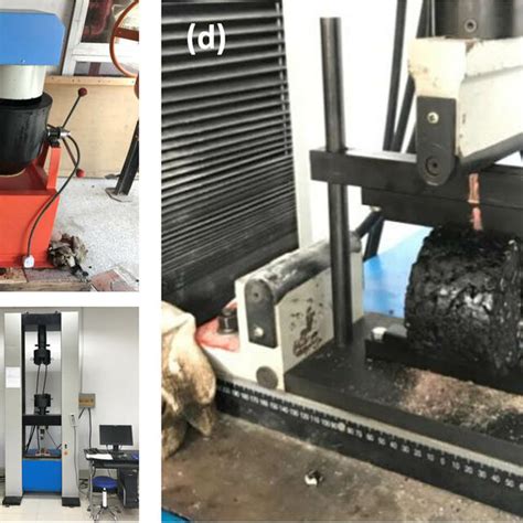 Fiber Randomization Test-Related に対する画像結果