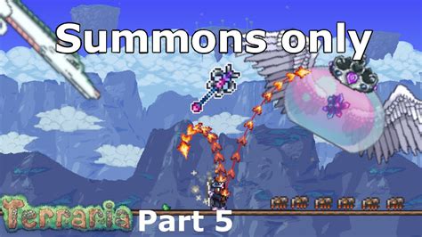 Image result for How to Get Infinite Summons in Terraria