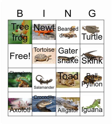 Toradh íomhá ar Bingo Sort Python