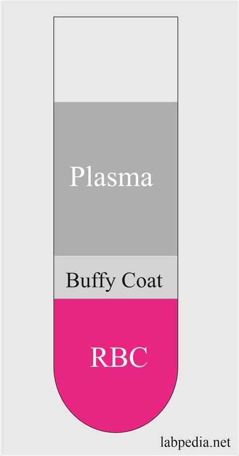 Image result for What Is Raw Buffy Coat