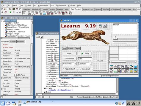 Image result for Pascal Software