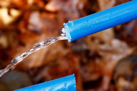 Image result for Waterway Spring Line