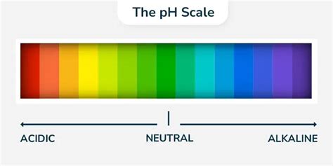 Afbeeldingsresultaten voor Logarithmic