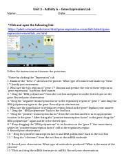 Toradh íomhá ar Gene Expression Lab Worksheet Answer Key