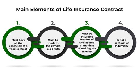 Image result for Life Insurance PDF